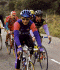ciclisti2.GIF (37309 byte)